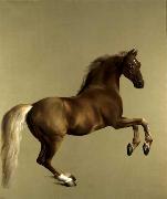 George Stubbs Whistlejacket. National Gallery, London. oil